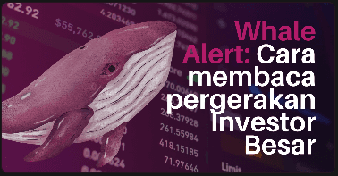 Whale Alert